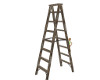 [CEL] Old Wood Ladder