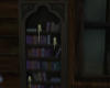 Suramar Bookshelf (WOW)