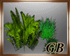 [GB]plants group