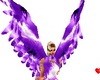 GA_Purplewings