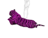 Venjii | Pink Tiger Pet