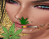 WEED matchstick