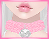 Choker Pet
