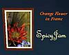 Orange Framed Flower