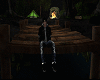 Dark Night Forest