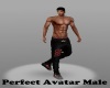Perfect Avatar Male
