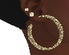 diamonds earrings DR