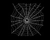 Animated spider web
