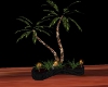 (EP) Potted Palm Trees