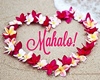 Luau-Hawaii-Mahalo