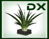 HD Palm Plant II