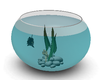 Turquoise Fish Bowl {F}