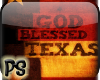 God Blessed Texas