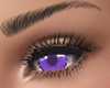 RR Purple Eyes M/F