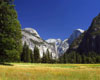 Yosemite Meadows