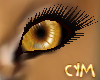 Cym Lion Eyes Unisex