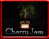 CherryJam plant 1
