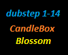 Candlebox Blossom Tune