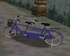 CS Tandem Bicycle