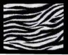 (V) Zebra rug