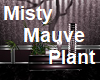 Misty Mauve Plant