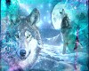 Wolves in Blue Photo