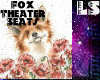 Fox Theater Seats