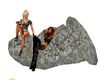 rock with 2 poses