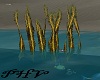 PHV Sea Kelp Gold