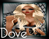 DC! Breonna Cream Blonde