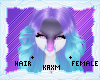 ꨄStacy Hairꨄ