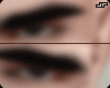 EyeBrows. Fadded Real