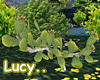 ~LC~ Cactus