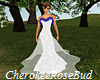 Blue/Lace Wedding Dress
