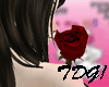 [TDG]Love Rose Valentine