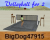 [BD] Volleyball for 2