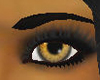 Tiger-Brown eyes [GC]