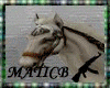 [M]White Elven Horse