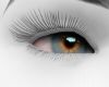 Selene Aqua