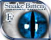 (E)Blu Snake Bites 2