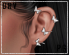 Earrings-