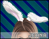 !J! Bunny Ears