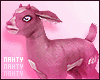 Pink Goat | Furniture