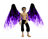 Purple Flame Wings