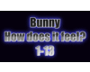 Bunny - How does it feel