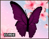 Purple Lt butterfly e