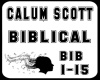 Calum Scott-bib