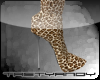[TA]Boots Leopard