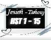 Jesień - Tańcuj remix