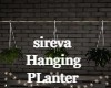 sireva Hanging Planter